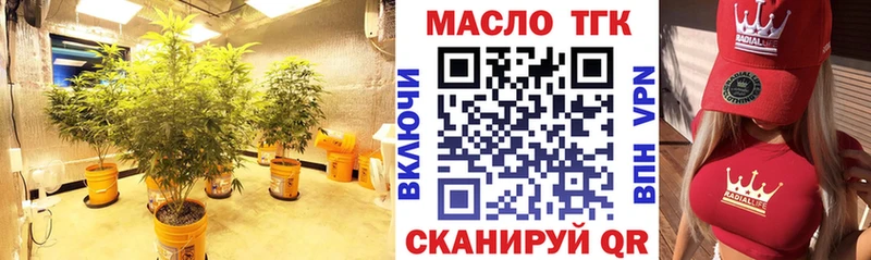 наркотики  Гаврилов-Ям  ТГК THC oil 
