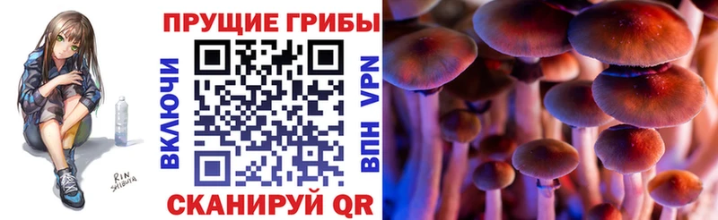 Галлюциногенные грибы ЛСД  дарк нет Telegram  Гаврилов-Ям 